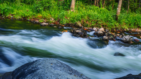 Mountain river in the forest. Fast flow of water in the forest.の素材