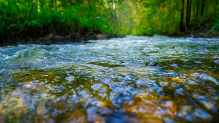 Mountain river in the forest. Mountain river in the forest.の素材