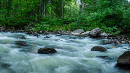 Mountain river flowing through the green forest. Shallow depth of field.の素材