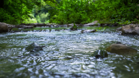 Mountain stream in the forest, close up. Beautiful nature backgroundの素材