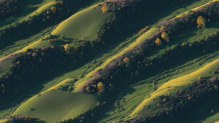 Rural landscape with green hills and colorful forest. 3d renderの素材