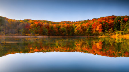 Autumn landscape with colorful forest reflected in the lake. Colorful autumn landscape.の素材
