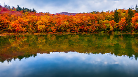 Autumn leaves reflecting in a lake in New Hampshire, USA.の素材
