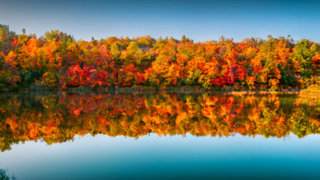 Autumn forest reflected in the lake. Colorful autumn landscape.の素材