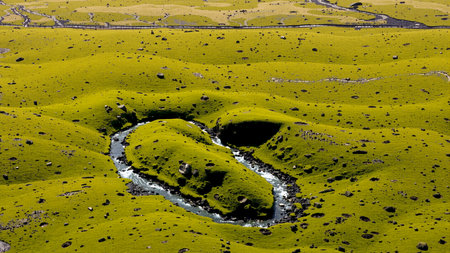 Rainbow over a meadow with yellow and blue wildflowersの素材