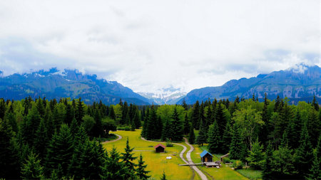 panoramic view of alpine meadows and forestの素材