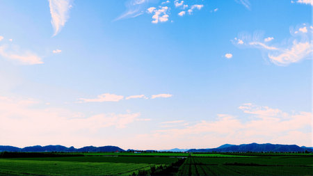 Beautiful blue sky with white clouds over green fieldの素材