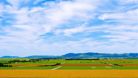 Agriculture field and blue sky with white clouds in spring.の素材