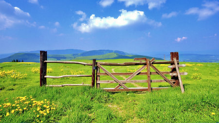 Wooden gate on a green meadow with yellow flowers and blue skyの素材