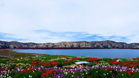 Beautiful landscape of Lake Titicaca, Puno, Peruの素材
