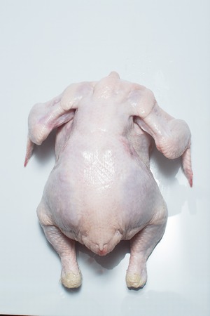 fresh carcass Kuritsyna white backgroundの写真素材