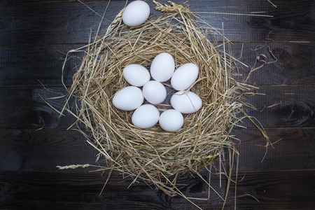 eggs in a nest on a dark boardの写真素材