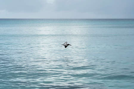 Cloudy day over the sea horizonの写真素材