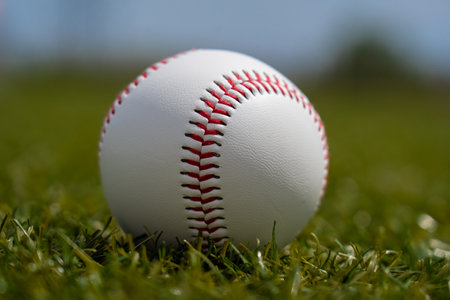 Baseball white ball lies on a green lawnの写真素材