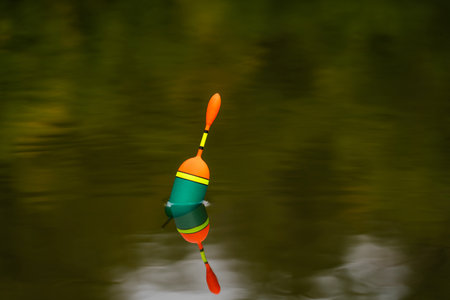 A close-up of the float signals a bite in calm water.の写真素材