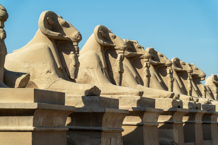 Avenue of the Sphinxes of Rams at the entrance to Luxorの写真素材