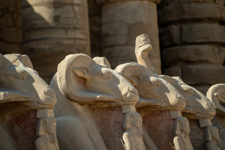Ancient Egyptian Ram Sphinxes Close Upの写真素材