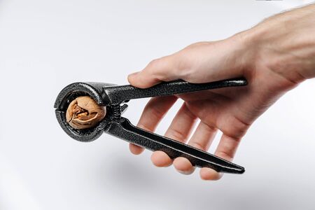 A hand against a white background holds a nut cracker on.の写真素材