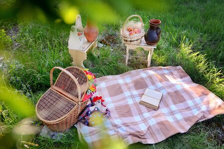 Plaid with a book, a basket of food, fruits on the green grass. Outdoor picnic concept.の写真素材