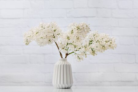 A white lilac in a white vase stands against a white brick wall.の写真素材