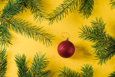 Red Christmas ball and fir branches on a yellow background.の写真素材