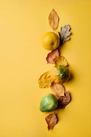 Pumpkins and fallen leaves lie in a row on a yellow background. Late harvest concept.の写真素材
