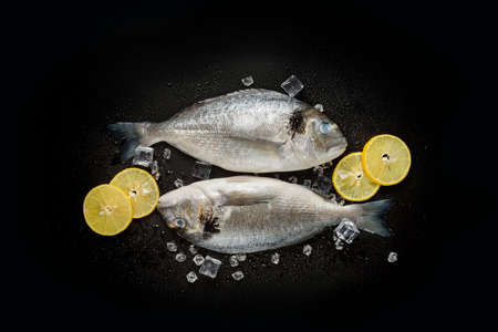 A pair of fresh dorado fish with ice on a black background.の写真素材