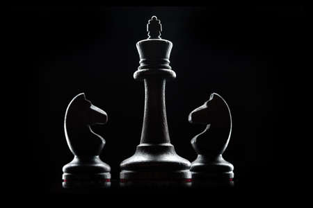 Silhouettes of chess pieces isolated on a black background. Chess King and horses close up.の写真素材