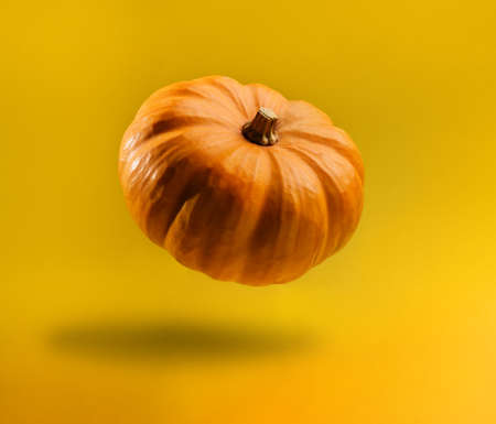 Pumpkin levitating on a yellow background with copy space.の写真素材