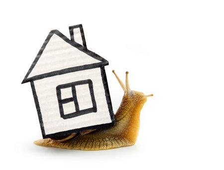 The snail carries a cardboard figurine of the house.の写真素材