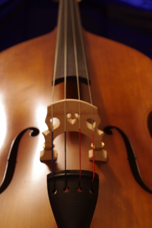 Upright Bassの写真素材