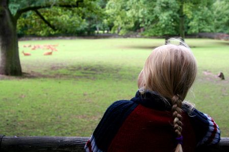 In the zooの写真素材