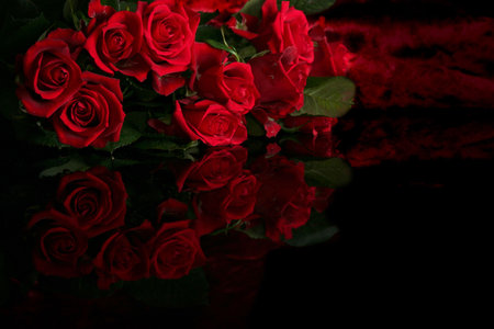 Red rose on a black backgroundの写真素材