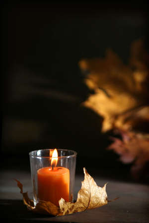 Colorful autumnal leaves on a dark brown backgroundの写真素材