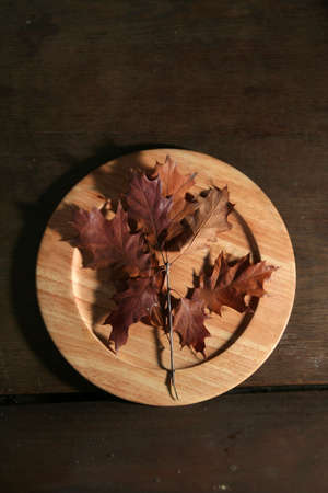 Colorful autumnal leaves on a dark brown backgroundの写真素材