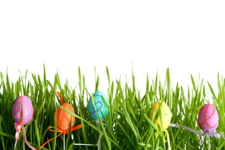 Colorful Easter eggs on a white background