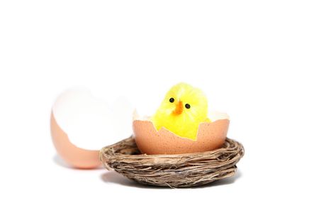 Yellow easter chicken toys on a white backgroundの写真素材