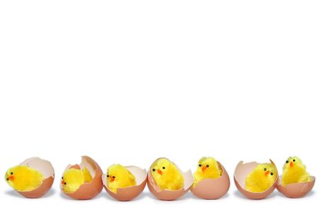 Yellow easter chicken toys on a white backgroundの写真素材