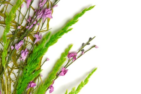 Spring colorful flowers on a white backgroundの写真素材