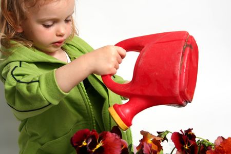 Beautiful little   girl and  red  pansy flowersの写真素材