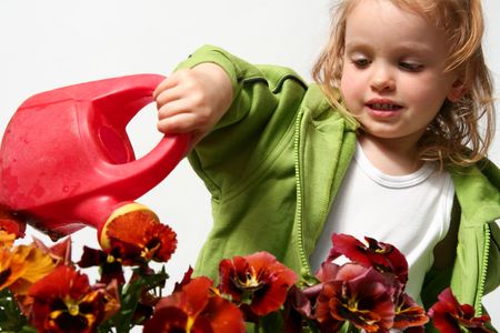 Beautiful little   girl and  red  pansy flowersの写真素材