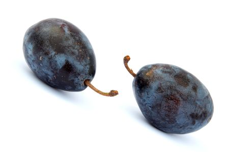Fresh violet plums on a white backgroundの写真素材