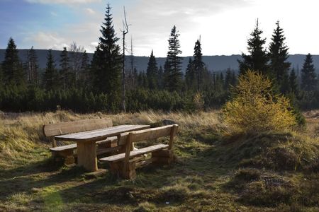 Dark forest and bench in sunbeam in the autumn