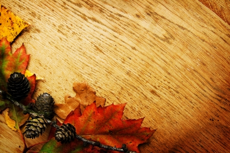 Colorful autumnal leaves lying on a wooden boardの写真素材