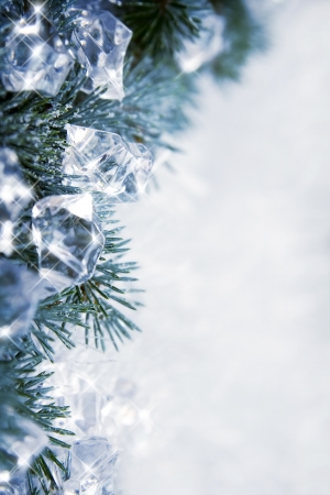 Winter backround with spruce branches and cubes of iceの写真素材
