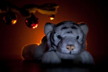 White tiger under christmas tree in the candle lightの写真素材