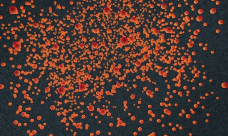 Cells   の写真素材