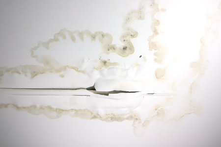 old white ceiling panels with water stain , fungus , mold , color peeling in house from water pipes damaged or rainy leaked in house problem for house cleaner and water leaking rooの写真素材