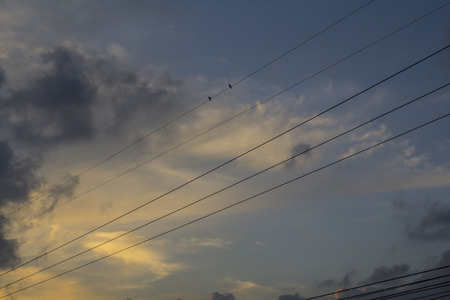 Wires with skyの写真素材