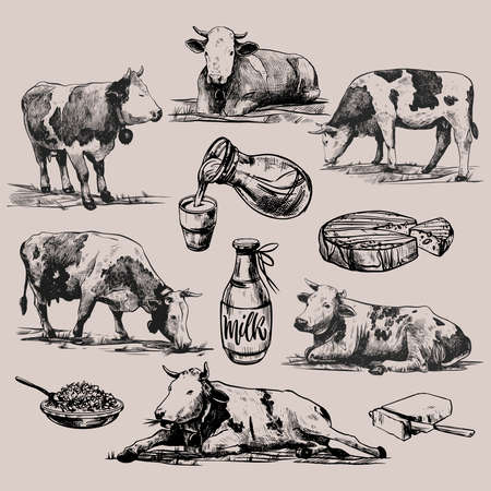 Farm products and alpine cows big set hand drawn in a graphic style. Vintage vector engraving illustration for poster, web, packaging, branding, flyer, print. Isolated on gray backgroundのイラスト素材